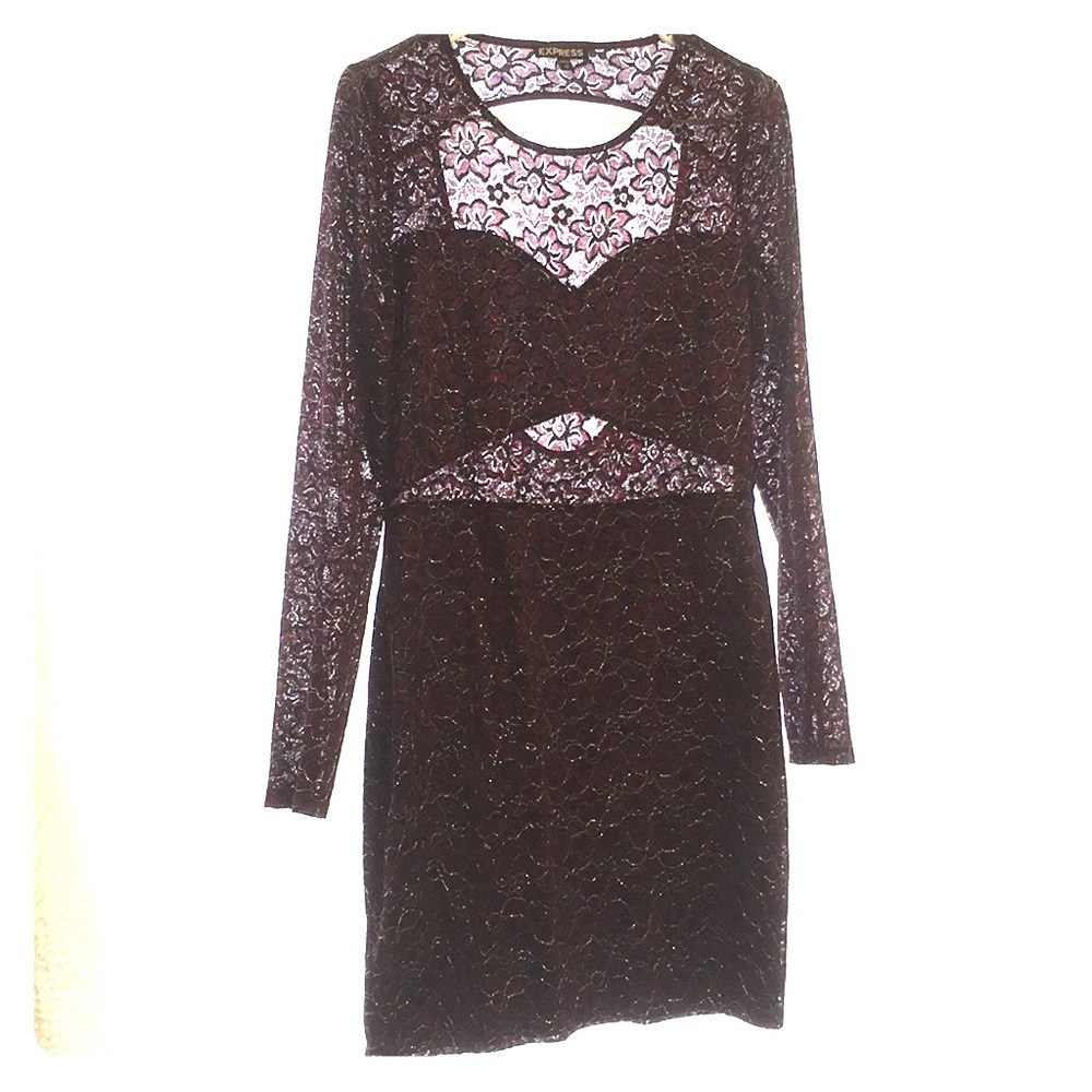 Express Cocktail Party Dress